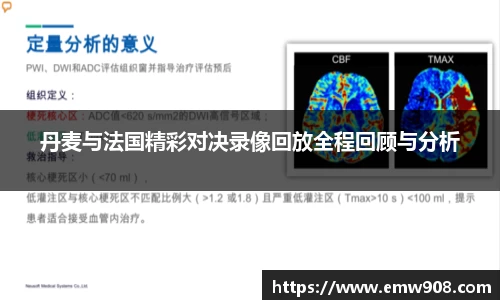丹麦与法国精彩对决录像回放全程回顾与分析