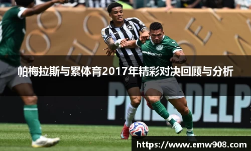 帕梅拉斯与累体育2017年精彩对决回顾与分析